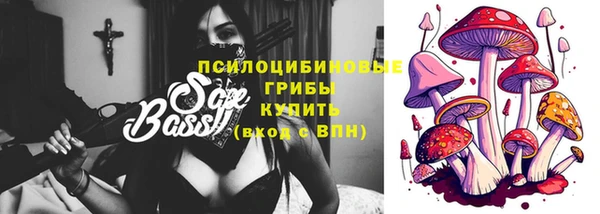 эйфоретик Алзамай