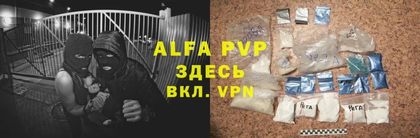твердый Пересвет