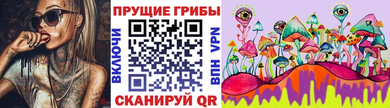 Псилоцибиновые грибы Magic Shrooms  mega сайт  Холм  цена наркотик 